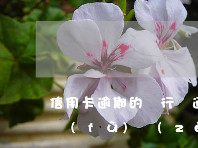 信用卡逾期的銀行會通知本人嗎(銀行有專門負(fù)責(zé)信用卡逾期的人嗎)