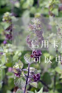 信用卡逾期的錢如何退回(信用卡逾期的利息可以申請退回嗎)