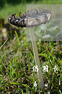 信用卡逾期的錢從哪里扣(逾期的信用卡會(huì)從其他的儲(chǔ)蓄卡里扣嗎)