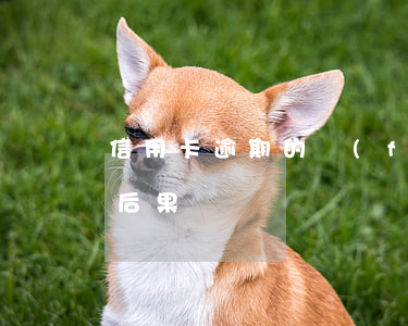 信用卡逾期的風(fēng)暴(信用卡 逾期 后果)