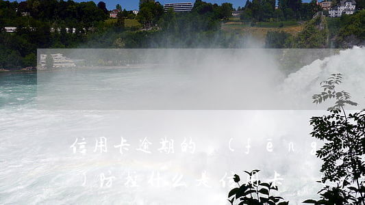 信用卡逾期的風(fēng)險(xiǎn)防控(什么是信用卡嚴(yán)重逾期)