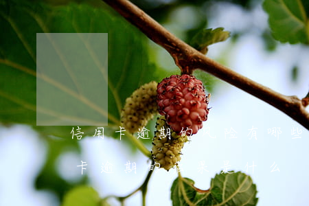 信用卡逾期的风险有哪些-贷款逾期与信用卡逾期的后果是什么