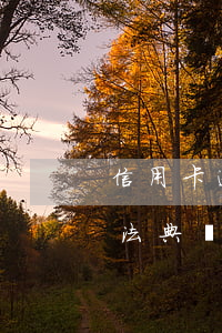 信用卡逾期盛恒律師事務(wù)所催款(民法典關(guān)于信用卡逾期催收)
