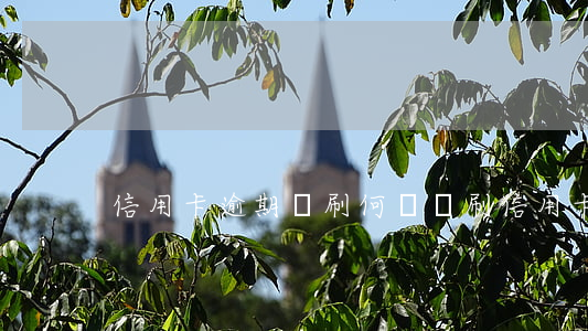 信用卡逾期盜刷(何為盜刷信用卡)