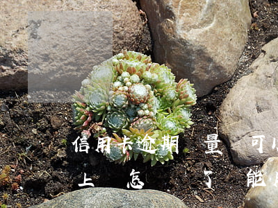 信用卡逾期盡量還可以嗎(信用卡逾期半年以上會怎樣還了還能用嗎?)