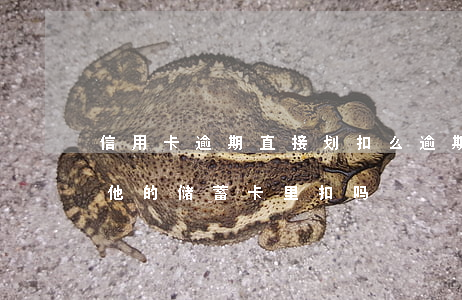 信用卡逾期直接划扣么(逾期的信用卡会从其他的储蓄卡里扣吗)