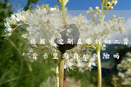 信用卡逾期直接划扣工资(信用卡逾期会从工资卡里面自动扣除吗)