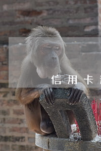 信用卡逾期直接可以報案拘留么