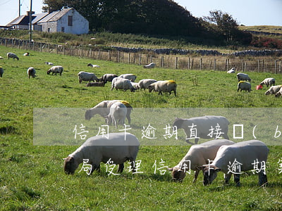 信用卡逾期直接報(bào)案刑拘嗎(公安局受理信用卡逾期案件嗎)