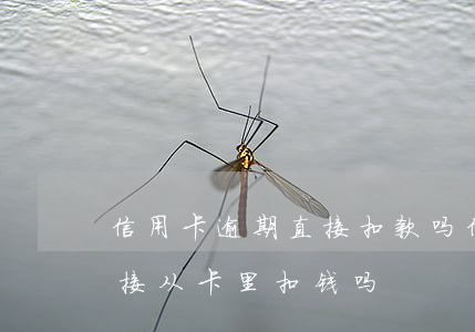 信用卡逾期直接扣款吗(信用卡逾期银行会直接从卡里扣钱吗)