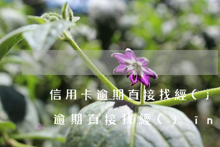 信用卡逾期直接找經(jīng)理(信用卡逾期直接找經(jīng)理還錢(qián))