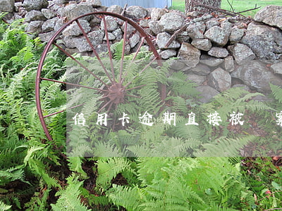 信用卡逾期直接被報案
