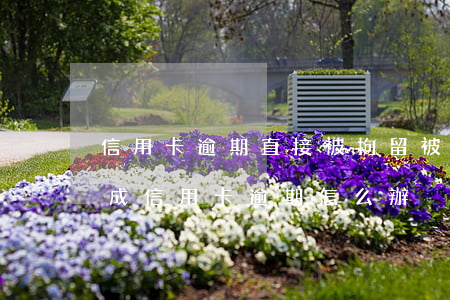 信用卡逾期直接被拘留(被公安局拘留期間造成信用卡逾期怎么辦)
