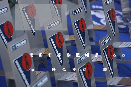 信用卡逾期直接通過app還款 信用卡app為什么不能還款