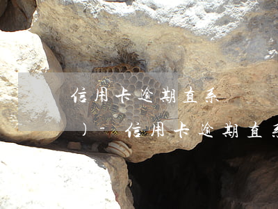 信用卡逾期直系親屬銀行卡被凍結(jié)-信用卡逾期直系親屬銀行卡被凍結(jié)怎么辦