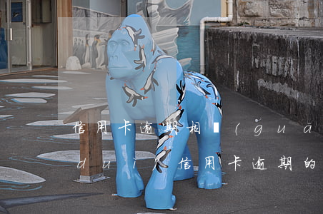 信用卡逾期相關(guān)法律(刑法對(duì)信用卡逾期的規(guī)定)