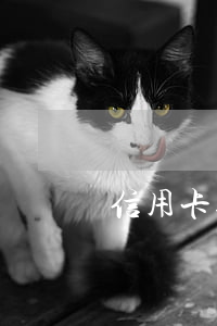 信用卡逾期相關(guān)法律條款
