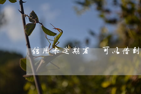 信用卡逾期省唄可以借到錢嗎