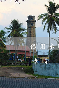 信用卡逾期看不到卡了吗（信用卡逾期看不到卡了）