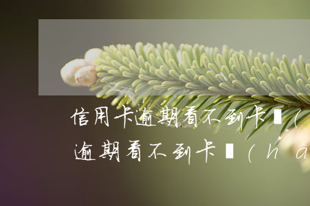 信用卡逾期看不到卡號(hào)了(信用卡逾期看不到卡號(hào)了)