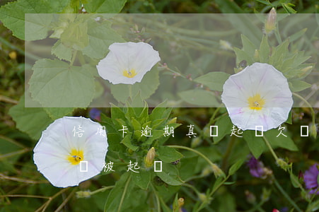 信用卡逾期真會起訴(欠銀行信用卡逾期多久會被起訴)