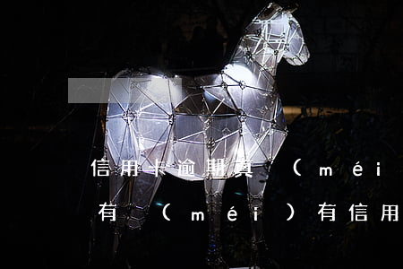 信用卡逾期真沒(méi)有能力還怎么辦(有沒(méi)有信用卡逾期沒(méi)還的)