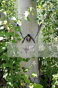 信用卡逾期真的不想活了(信用卡逾期還完了不用會有什么后果)
