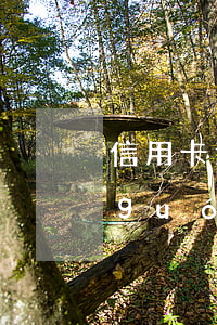 信用卡逾期真的出不了國(guó)嗎(國(guó)外的信用卡逾期了怎么辦)