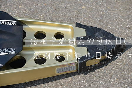 信用卡逾期真的可以規(guī)避嗎(有過逾期能不能申請信用卡)