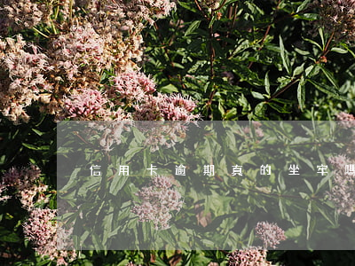 信用卡逾期真的坐牢嗎