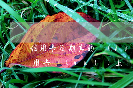信用卡逾期真的會(huì)上門要嗎(欠信用卡會(huì)上門嗎)