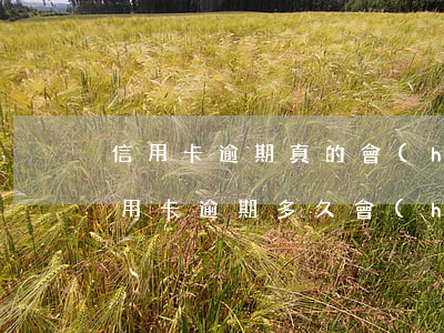 信用卡逾期真的會(huì)提起訴訟嗎(“信用卡逾期多久會(huì)被起訴”)