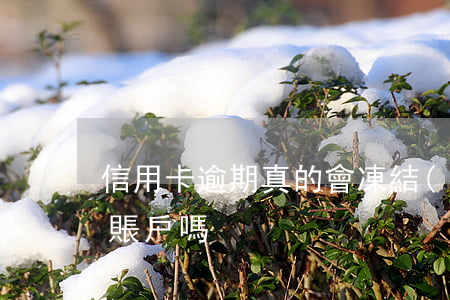 信用卡逾期真的會凍結(jié)名下所有賬戶嗎