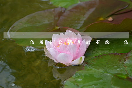 信用卡逾期真的有效嗎(信用卡逾期利息合法嗎)