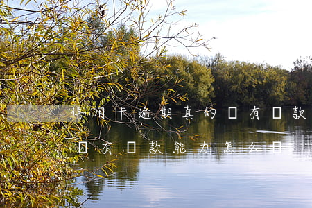 信用卡逾期真的沒有還款能力 欠信用卡確實沒有還款能力怎么辦?