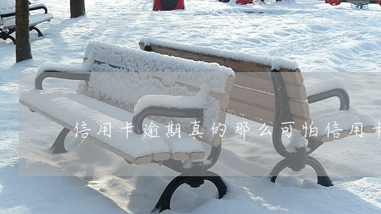 信用卡逾期真的那么可怕(信用卡逾期會咋樣)