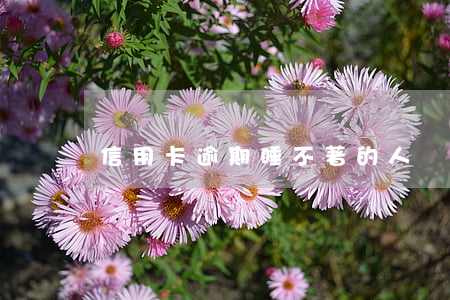 信用卡逾期睡不著的人(絕癥患者欠信用卡)
