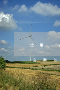 信用卡逾期知道工作地址了怎么辦-信用卡逾期知道工作地址了怎么辦理