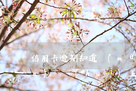 信用卡逾期知道沒(méi)有錢(qián)還會(huì)上門(mén)么-信用卡逾期知道沒(méi)有錢(qián)還會(huì)上門(mén)么嗎