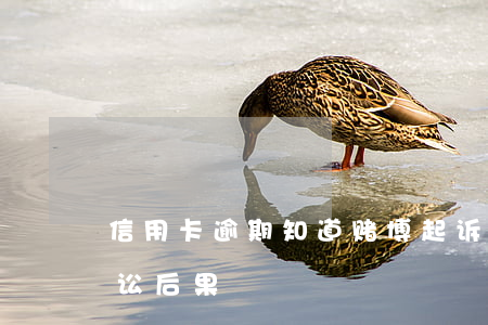 信用卡逾期知道赌博起诉(信用卡逾期民事诉讼后果)