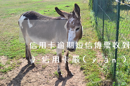 信用卡逾期短信傳票(收到短信說(shuō)信用卡嚴(yán)重逾期)