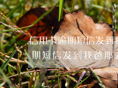 信用卡逾期短信发到我爸那去了-信用卡逾期短信发到我爸那去了怎么办