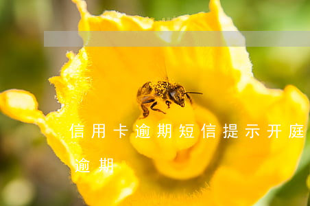 信用卡逾期短信提示开庭时间(短信说信用卡逾期)