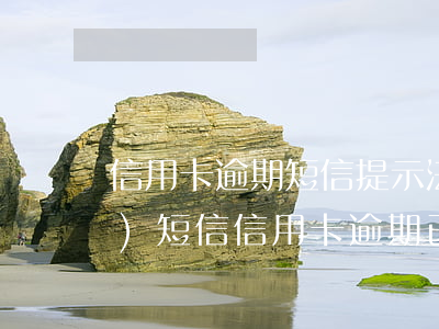 信用卡逾期短信提示法院排期開庭(發(fā)短信信用卡逾期已立案)