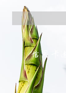 信用卡逾期短信文字(短信说信用卡逾期)