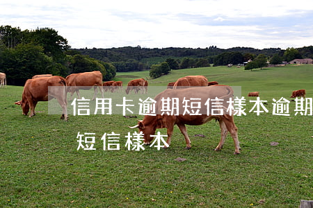 信用卡逾期短信樣本(逾期嚴(yán)重的短信樣本)