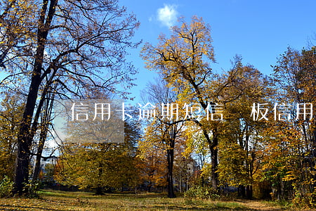 信用卡逾期短信樣板(信用卡逾期短信提醒)