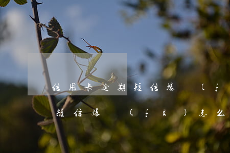 信用卡逾期短信爆發(fā)-信用卡逾期短信爆發(fā)怎么辦