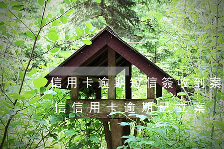 信用卡逾期短信簽收到案材料(發(fā)短信信用卡逾期已立案)