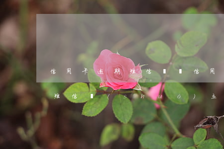 信用卡逾期短信詐騙(信用卡逾期發(fā)短信說(shuō)立案是真的嗎?)